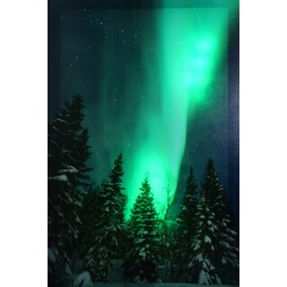 LED Bild Winterwald mit simulierten Nordlicht Batteriebetrieb 38 x 58 cm