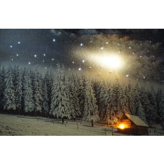 Wandbild Winter Landschaft mit Sternschnuppe LED und Fieberglas Lichtpunkte Batteriebetrieb 58  x 38 cm