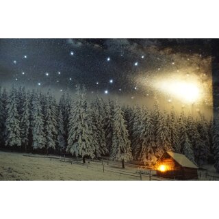 Wandbild Winter Landschaft mit Sternschnuppe LED und Fieberglas Lichtpunkte Batteriebetrieb 58  x 38 cm